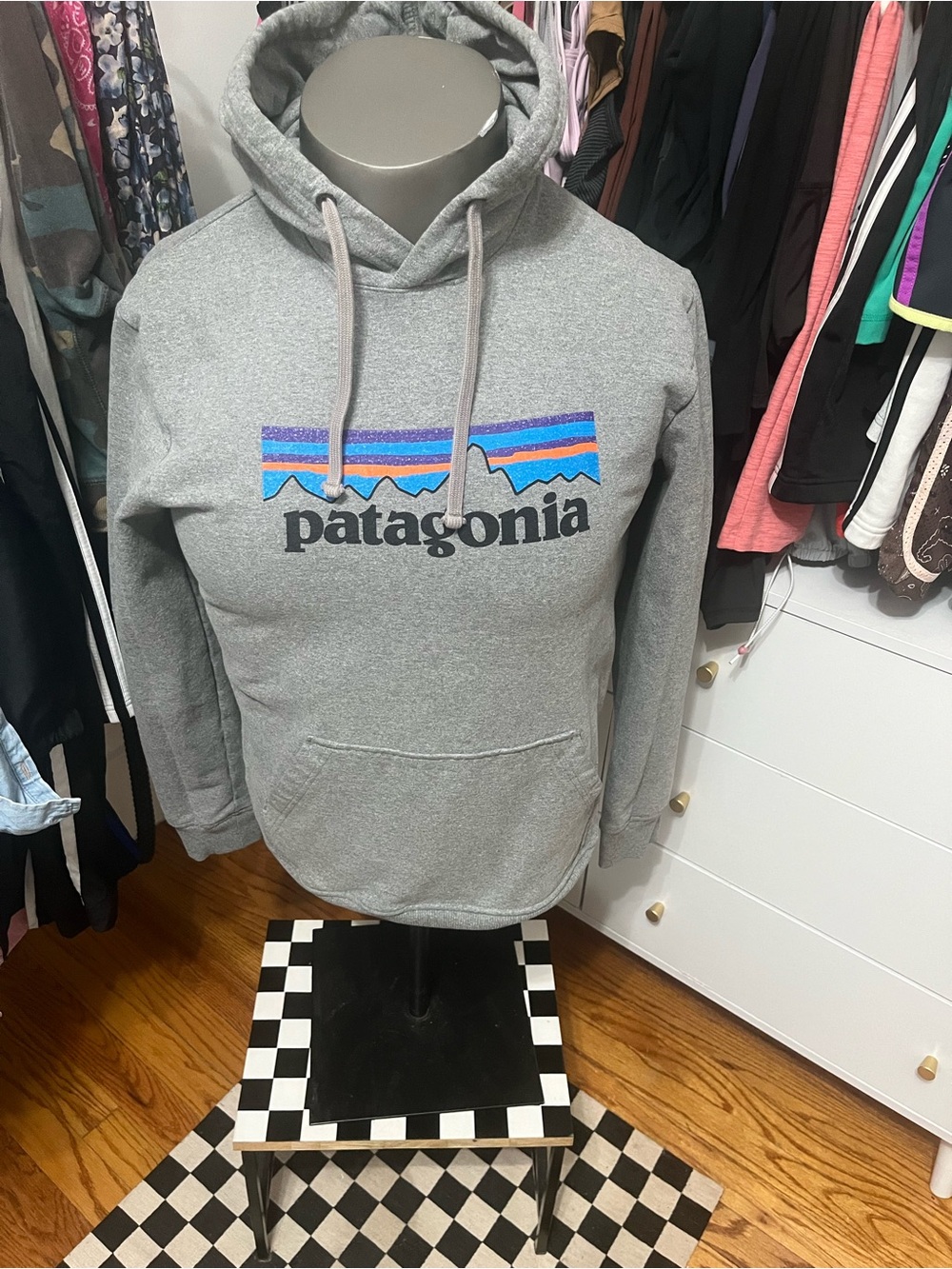 Patagonia Gray Pullover Hoodie with Multicolor Mountain Logo